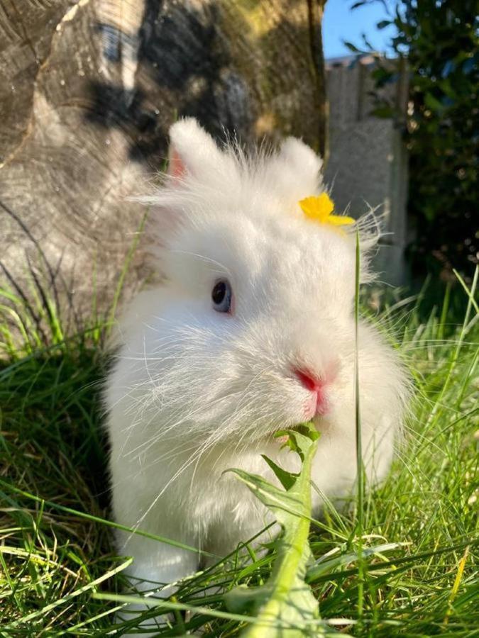 Naturspiel Posing Zewnętrze zdjęcie