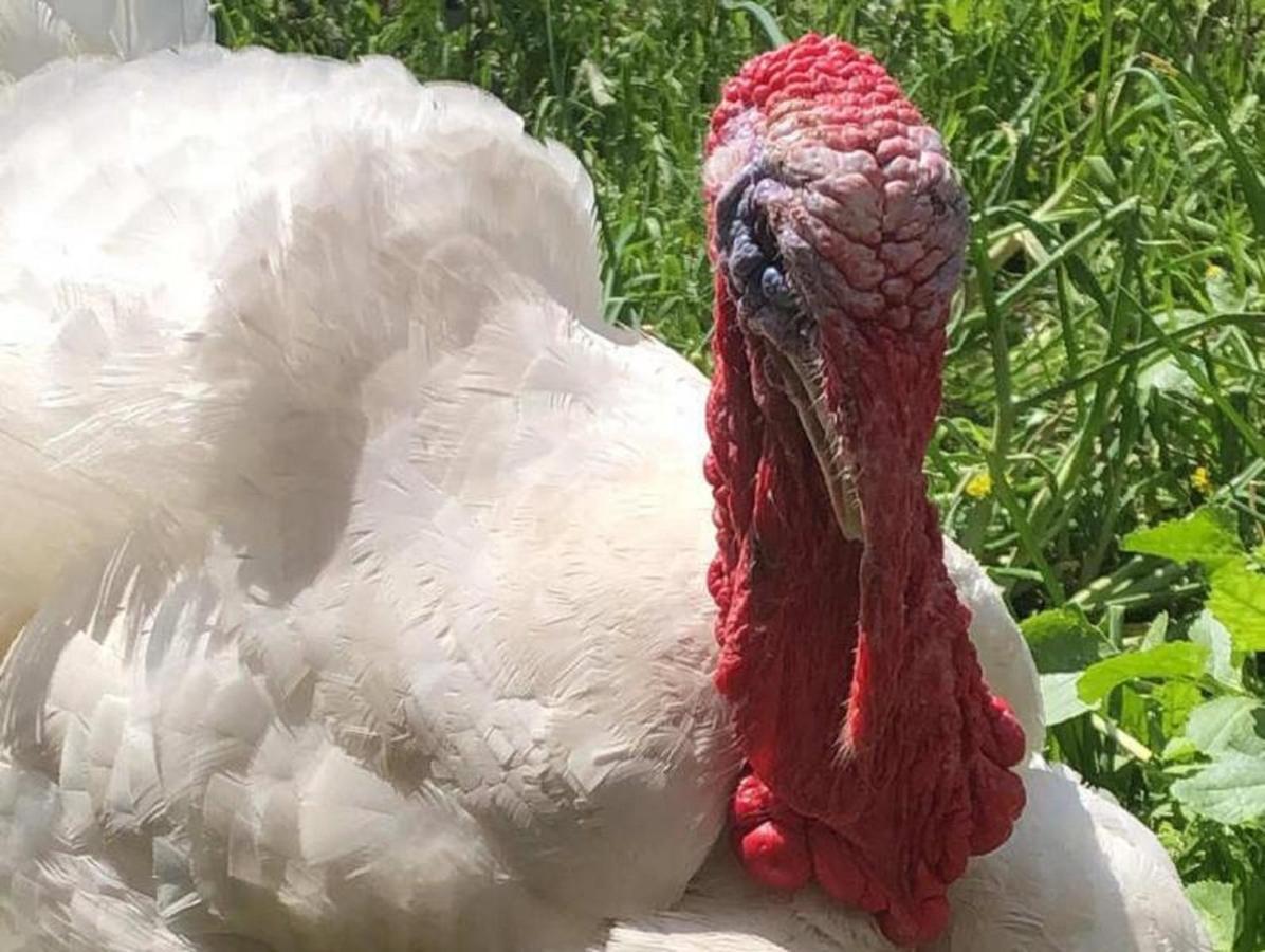 Naturspiel Posing Zewnętrze zdjęcie